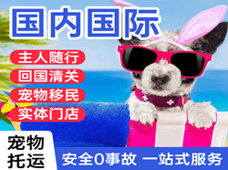 宜宾五粮液航空邮寄国际宠物托运 【国